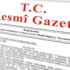 T�rkiye-G�rcistan elektrik enterkonneksiyonuna onay