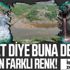 İstanbul Haramidere'den zehir akıyor! Her gün farklı bir renk! Resmen çevre katliamı!