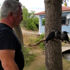 Sahiplendiği kargalara çocuklarının adını verdi Sahiplendiği kargalara çocuklarının adını verdi