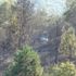 Şile’de korkutan orman yangını
