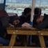 Ayvalık açıklarında 56 kaçak yakalandı