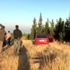 Yaklaşık 1,5 ton skunk ele geçirildi (3)