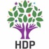 HDP'den hazine yardımı için Danıştay'a başvuru