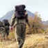 Kandil'den kaçan kaçana, 24 saatte 22 terörist teslim oldu! Kandil'den kaçan kaçana, 24 saatte 22 terörist teslim oldu!