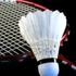 2021 Dünya Badminton Şampiyonası 3 ay ertelendi 2021 Dünya Badminton Şampiyonası 3 ay ertelendi