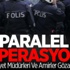 Ve Terraneo Yola Çıkıyor!