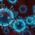 Nipah virüsü (NİV) nedir, belirtileri nelerdir? Nipah virüsü nasıl bulaşır?