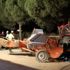Otomobil park halindeki traktöre çarptı: 2 ölü