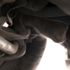 Otomobilin motoruna giren kedi, yakalanması bulunan otomobili ele verdi Otomobilin motoruna giren kedi, yakalanması bulunan otomobili ele verdi