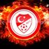 TFF'nin gizli planı! Lucescu'nun yerine.. TFF'nin gizli planı! Lucescu'nun yerine..