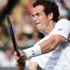 Murray sakatlandığı maçtan turla ayrıldı Murray sakatlandığı maçtan turla ayrıldı
