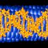 'Çocuklukta cinsel taciz, DNA'yı da değiştiriyor' 'Çocuklukta cinsel taciz, DNA'yı da değiştiriyor'