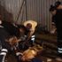 Bursa'da silahlı kavga: 1 yaralı