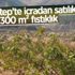 Gaziantep'te icradan satılık fıstıklık