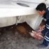 Biga Belediyesi sokak hayvanlarını yalnız bırakmadı