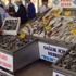 Marmara Denizi’nde hamsi bolluğu Marmara Denizi’nde hamsi bolluğu