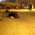 Karda kayabilmek için yoğunluktan sıra beklediler