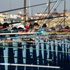 Taşı toprağı balık! Taşı toprağı balık!
