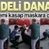 Antalya’da firari danalar trafiğe karışırken bir tanesi acemi kasabı betona fırlattı