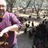 Hobi olarak başladı, şimdi günde 600 yumurta üretiyor Hobi olarak başladı, şimdi günde 600 yumurta üretiyor