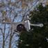 Drone'lar ufuk çizgisinin ötesinde teslimat yapacak Drone'lar ufuk çizgisinin ötesinde teslimat yapacak