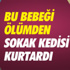 Dr. Fellah: “Ülkemde Samsun Turizmini Tanıtmaya Hazırız” Dr. Fellah: “Ülkemde Samsun Turizmini Tanıtmaya Hazırız”