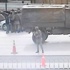 MİT TIR'larını ihbar eden zanlı yakalandı! MİT TIR'larını ihbar eden zanlı yakalandı!
