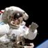 NASA’nın gizli raporu basına sızdı: Seks yapabilirler diye…
