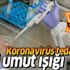 Koronavirüs tedavisinde yeni umut ışığı! Yakın zamanda uygulanabilir
