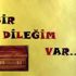Kaymakamlık binasına öğrenciler için dilek kutusu ... Kaymakamlık binasına öğrenciler için dilek kutusu ...