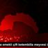 Antalya da emekli çift ketembilla meyvesi üretti