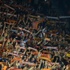 Galatasaray taraftarlarından Emre'ye küfür! Galatasaray taraftarlarından Emre'ye küfür!