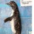 “İnsanlar korona virüsten daha tehlikeli” dedirten olay: Ölen penguenin midesinden maske çıktı “İnsanlar korona virüsten daha tehlikeli” dedirten olay: Ölen penguenin midesinden maske çıktı
