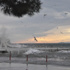 Lodos Sinop'u vurdu