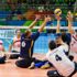 Paravolley nedir