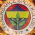 Fenerbahçe Robin van Persie'nin bonservisini eline verecek