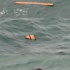 Kayıp yolcu uçağıyla ilgili son dakika gelişmesi Kayıp yolcu uçağıyla ilgili son dakika gelişmesi