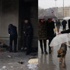 Bugüne damgasını vuran 2 köpek hikayesi
