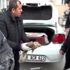 Denizli de yaralı bulunan şahin tedavi altına alındı