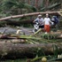 Hagupit Tayfunu Filipinler'i yıkıp geçti