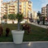 Bafra Yeni Kent Meydanı'nı inekler bastı Bafra Yeni Kent Meydanı'nı inekler bastı