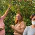 Rus turistler Eğirdir de elma hasadı turuna katıldı