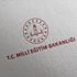 MEB'den özel yetenekli öğrencilere 'özel' müfredat MEB'den özel yetenekli öğrencilere 'özel' müfredat
