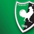 Denizlispor, Tahkim'e itiraz edecek