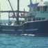 Didim'de Trolcülere Para Cezası