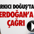 Bebekler, güven duygusunu öperek kazanıyor