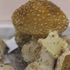 Ganoderma Lucidum mantarı altından pahalı