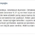 Mhp’li Halaçoğlu: Yüzde 41 Oy Verirken Böyle Olacağını Bilmiyor Muydunuz ?