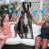 Dünyanın en uzun köpeği 8 yaşında öldü Dünyanın en uzun köpeği 8 yaşında öldü