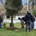 Ses gelen mezardan canlı adam çıktı